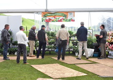 John Gaydos of Proven Winners showing visitors around.